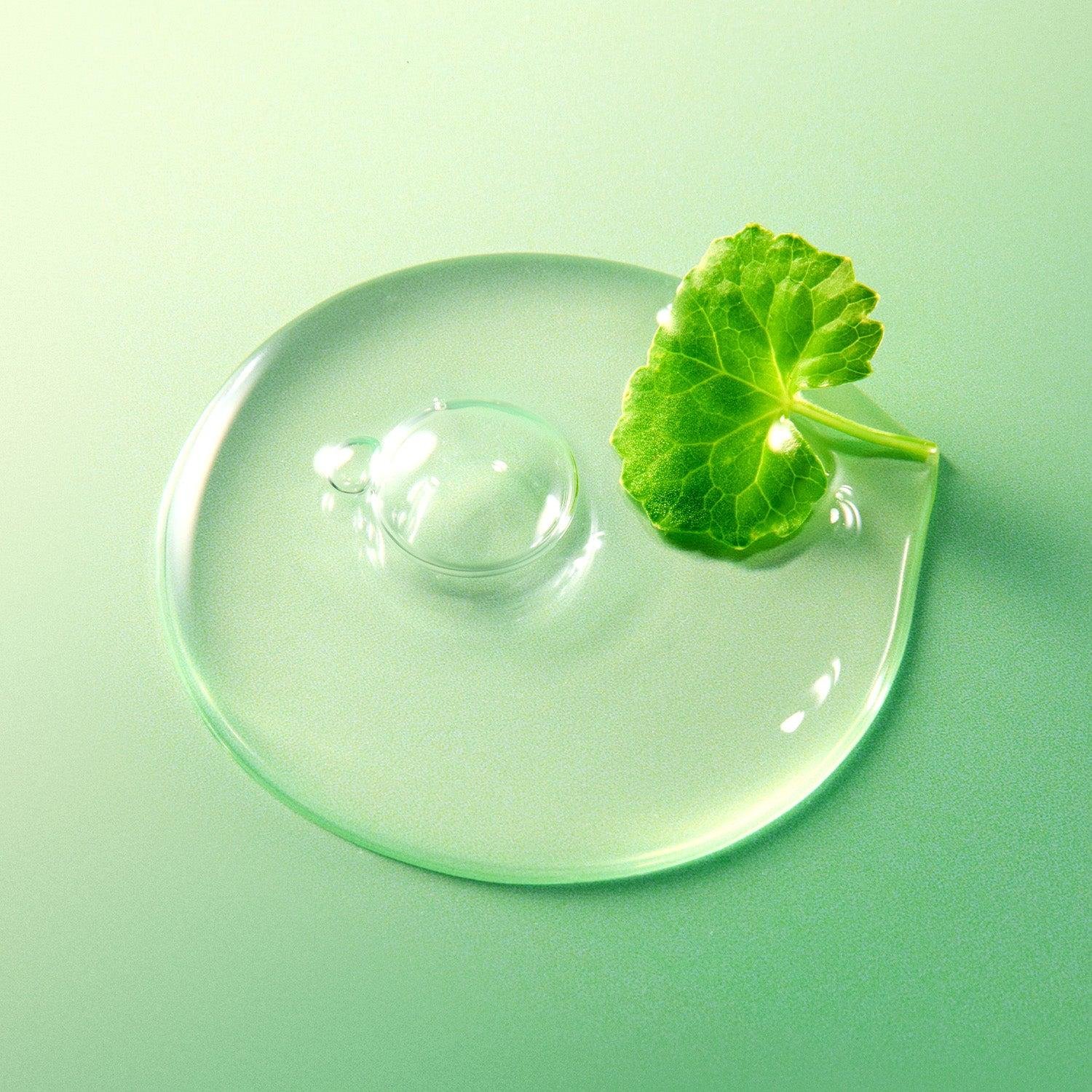 Centella Asiatica